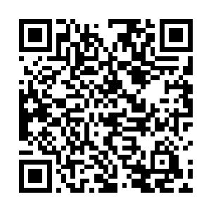 的新闻中已经说了陆斌参与此次讲经活动的组织工作了二维码生成