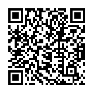 的法术和各种千奇百怪的法宝才是修真者真正对敌的手段二维码生成