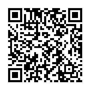 的珠子发出的波动的时候破禁珠的终于彻底的惊呆了二维码生成