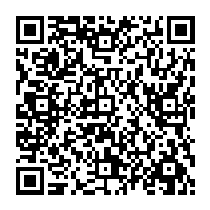 的白兰一把抄起侧卧在沙发上无所事事的追着番打着哈欠的妮娜就上了直达神奈川的直升机二维码生成