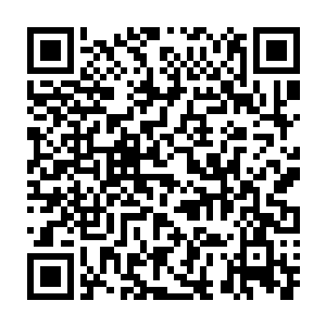 的确会让周围的那些想要竞拍的化神期老怪们稍微迟疑忌惮了一点二维码生成