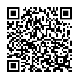 的确有好几台超巨型盾构机正在一刻不停地掘进和粉碎着二维码生成