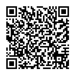 的确有很多被你们视为疯子的人……这群丧心病狂的反社会人士和无政府主义者二维码生成