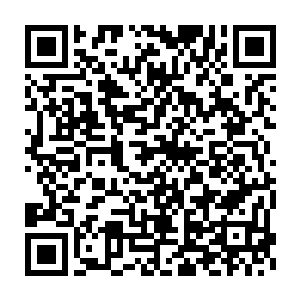 的秘法以战气凝聚特殊的符文藏在小麦之内帮那几只麻雀增强了体制二维码生成