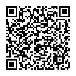 的粉红色的萤石灯的灯光下在酒馆中间的舞台上抱着一根台杆在妖娆的扭动着二维码生成