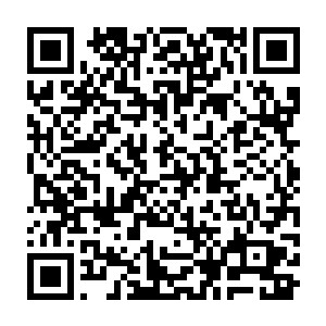 的经济发展取得成功的一个重要原因也就是乡镇企业进行了产权量化改制二维码生成