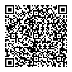 的脸色慢慢的变得正经了起來 她带着赵纯良穿过了动物的区域之后 來到了一扇巨大的门前头二维码生成