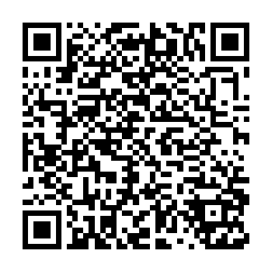 皆是为了万艾丹林跟代离一波三折跟他最后的一次突破而担心不已二维码生成