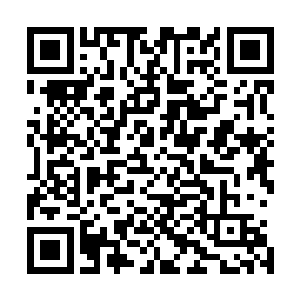 皇上登基之后明里暗里逼得徐氏一族辞官就已经很不好看了二维码生成
