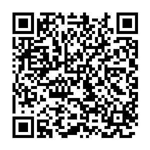 皇子不用动手 老猴子我之前糟了暗算 这次 我要自己找回场子 二维码生成