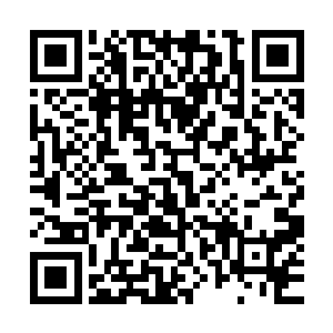 皇子后妃们不得不排着队到死牢里去参观八皇子和柳氏的惨状二维码生成