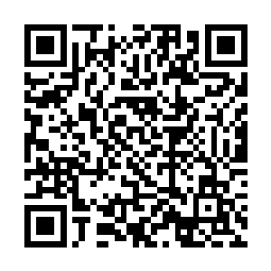 皇子殿下为了能够让你们在半年后的神统大陆上出彩二维码生成