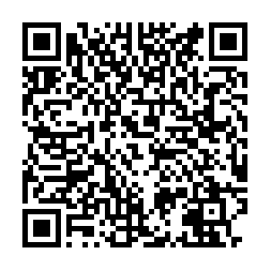 皇宫宫门口处的两具重达万斤的铜狮在剑尘意念的控制下纷纷浮空而起二维码生成