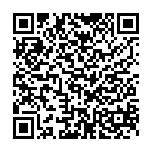 皇家拍卖会就像是一支毒蛇一般死死的盯着楚氏拍卖会这个庞然大物二维码生成