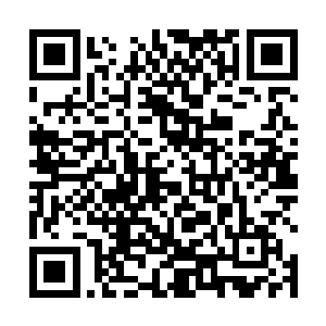 皇帝派出去搜寻英王与风暮寒的队伍一直没有任何消息二维码生成