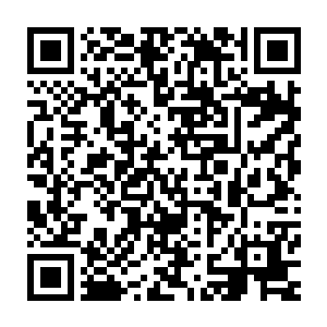 皮克王国刚刚恢复的临时通讯系统根本无法覆盖到皮克岛周围的海面上二维码生成