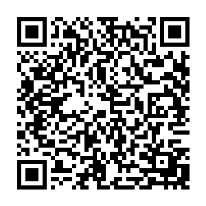 皮尔斯现在要不是冻的太厉害估计恨不得直接跳起来把贝海的耳朵咬下来二维码生成