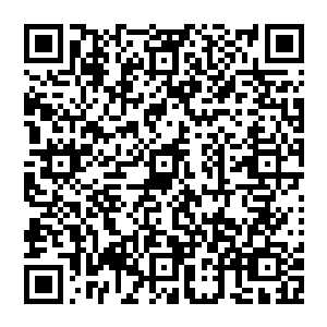 盖九幽摆摆手 依旧盘膝坐在那里 脸上的表情格外淡定 实则 此时的他 背上早就冷汗淋淋了二维码生成