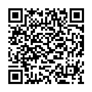 盖茨先生的银行账户里肯定不会跟我一样是负数二维码生成