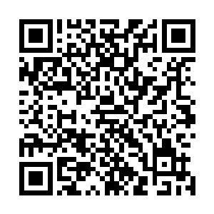 目光不停在紧随在赵忠管家身后的赵信和赵翼身上来回游荡二维码生成