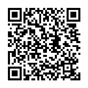 目光冷冷的望了一眼旁边的几个还在用他们那拙劣的演技二维码生成