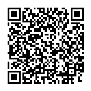 目光就是那么的准确无误地落在鉴定结论最后的几个黑色加粗的字体上二维码生成