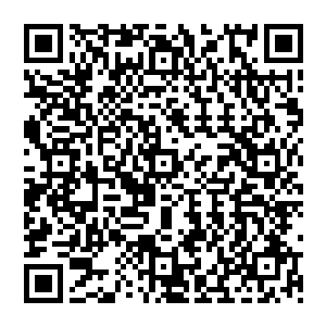 目光放在走出宫门的太后皇后和刚刚下了马车往宫门前走来的福熙大长公主和昭阳长公主身上二维码生成