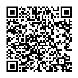 目前地球的修炼环境几乎没有特殊的机缘的话他根本就没有办法突破了二维码生成