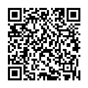 目前的从政只是整部小说中主角经历的一个重要阶段而已二维码生成
