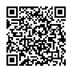 目前远征殿的殿主和首席副殿主闭关修炼已经很久了二维码生成