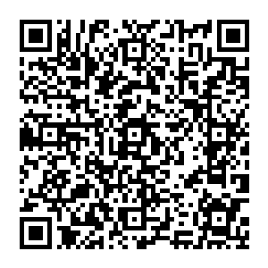 目前雷欢喜先生的体温在39度到40度之间徘徊……已经排除了塞卡病毒的可能……雷欢喜先生非常虚弱……二维码生成