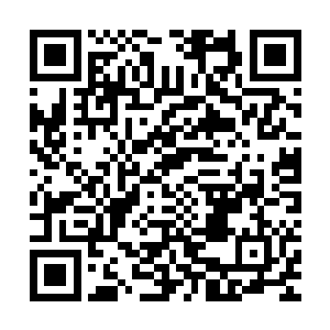 目前风田财阀的继承人五滕兰明确表示今后一切唯少主之命是从二维码生成