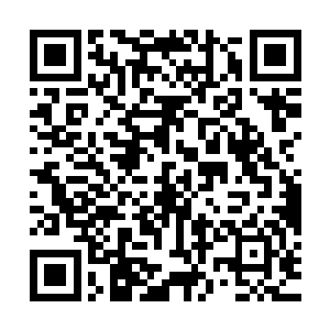 目标处残存矮树不堪重负发出了痛苦的呻吟声不甘的倒在了地上二维码生成