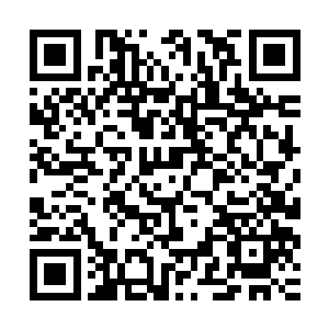 盯着那因为灵智不全而被紊乱的意念在周围纠缠纠结了一会儿后二维码生成