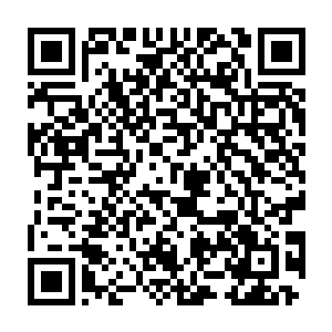 直到他将从碧落主宰和太天主宰那里获得的十几颗圣兽内丹全部耗光时二维码生成