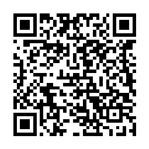 直到滑出去了很远才发现自己不但在冰上稳住了还在滑二维码生成