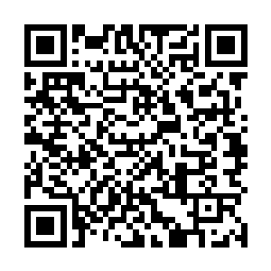 直到现在人类仍然无法准确的从蜱虫身上分离出病原体二维码生成