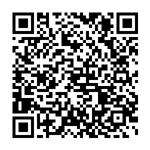 直到现在才派人來换你出去…那老家伙竟然把我们扔下了五千年不管二维码生成