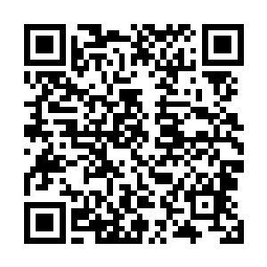 直到看在陌星子想去拉挡在山洞口的厚实木门才伸手阻止二维码生成