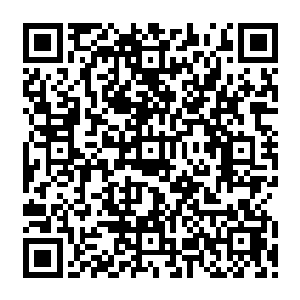 直到许紫烟认为自己已经把宝器拳的水属性拳技第二式领悟得和第一式一个水准的时候二维码生成