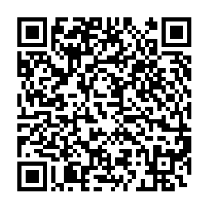 直到这时候他们才忽然意识的皓月仙子没有自己想象中的那么简单二维码生成