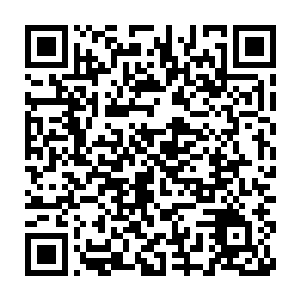 直到雪无修将刚才自己所施展的本领以及用途一五一十的告诉了林辰时二维码生成