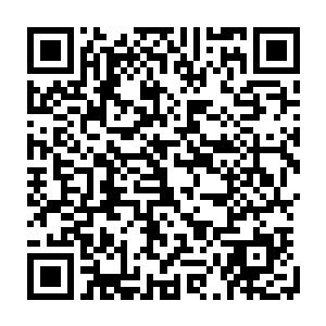 直接便取出了几颗从这山上采摘的不同种类的一二级仙果和几株一二级仙草二维码生成