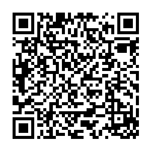 直接咚的一屁股坐在了地上的……哗~~这样的一幕实在是太让人意外了二维码生成