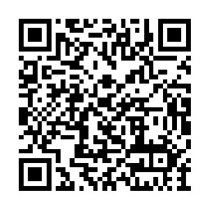 直接喷涌出来的纯净血气和塞的满满的血色丸子二维码生成