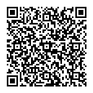 直接用手指在塞入金币位置旁边的一块秘银符文书写板上写下了一个普通的坚固术的符文符号二维码生成