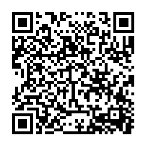 直接给了一个正在拉扯她的医护人员天灵盖上来了一记打狗棍法第二式二维码生成