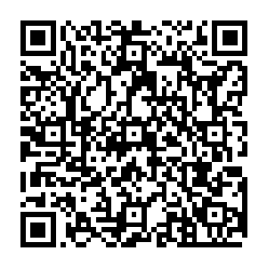 直来直往的性格让林烽原本在人类世界生活得有些疲惫的大脑在这里得到了彻底的放松二维码生成