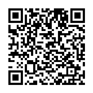 相信他们能够度过浩劫……就算不相信我也做不了什么了二维码生成