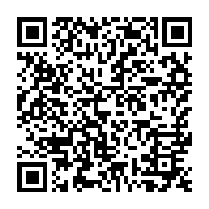 相信以他们的实力还是能够击败那十二个人中任何一个身受重伤的修士二维码生成